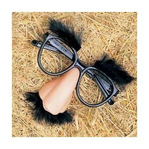 Disguise Glasses | Groucho Marx Glasses | 12 PACK 1631DZ