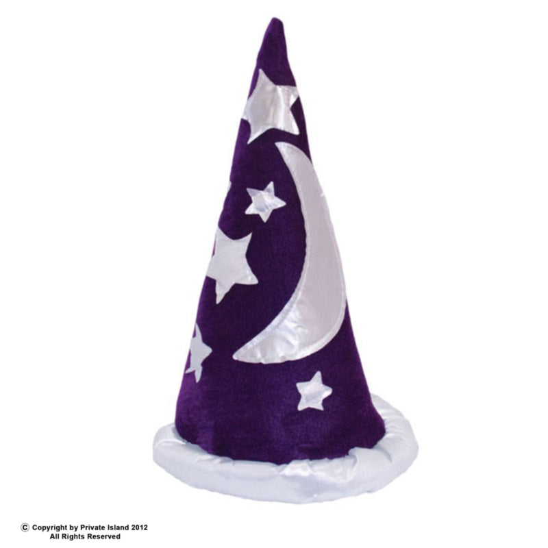 Wizard Hat Costume | Purple 12 PACK  WS1437D
