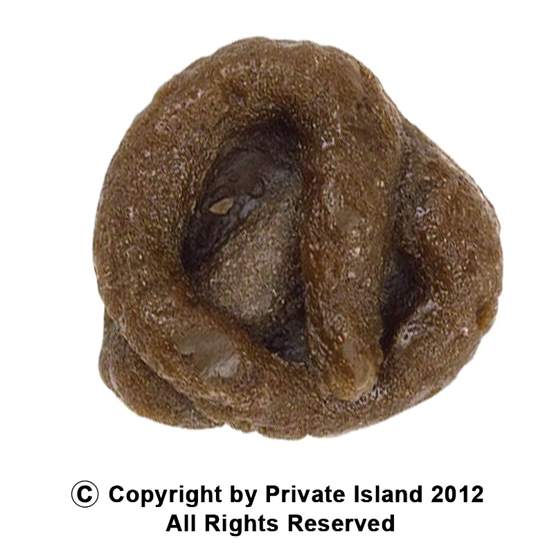 Fake Poop 1608