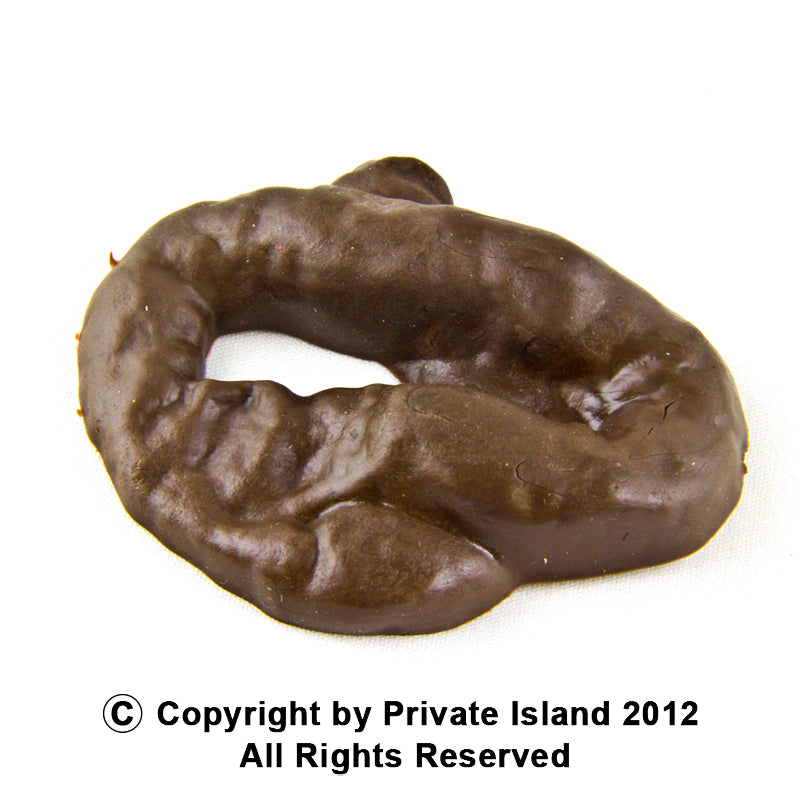 Fake Poop 1608