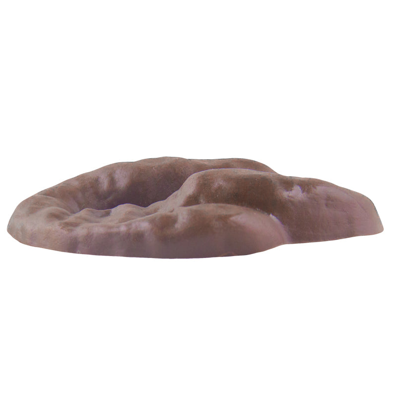 Fake Poop 1608