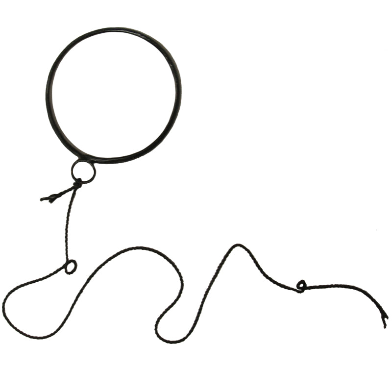 Monocle On String  12 PACK WS1629D