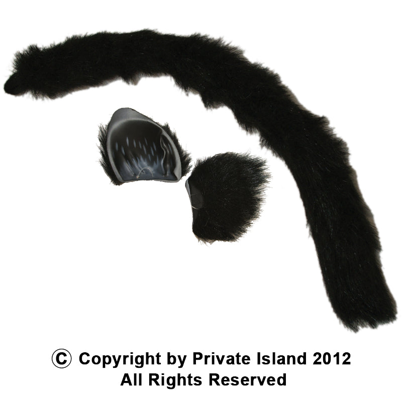 Cat Ears and Tail | Cat Headband | Set 1676