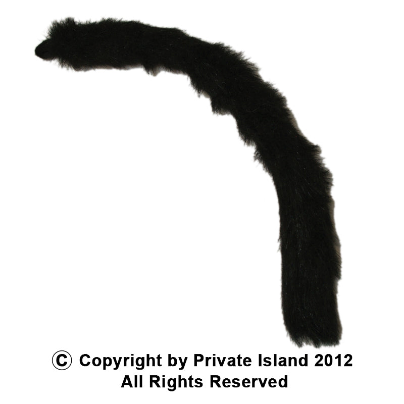 Cat Tail Black 1678