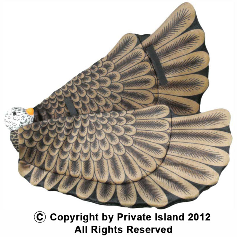 Eagle Wings 1894