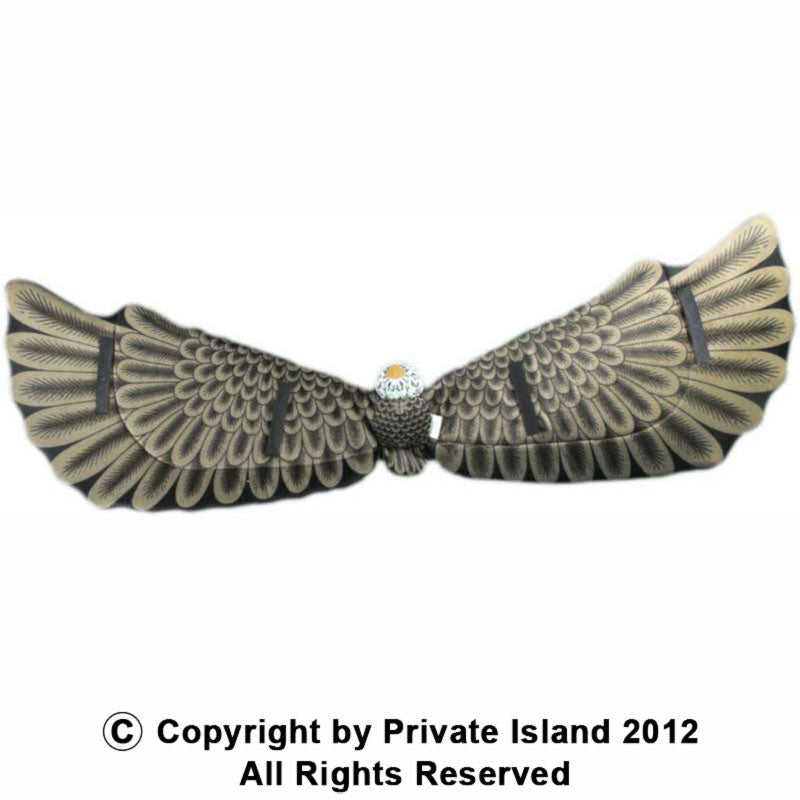 Eagle Wings 1894