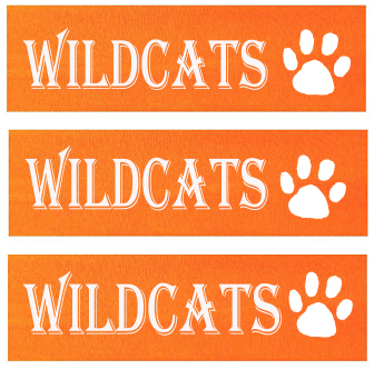 College Team Headbands, Personalized Headband (Fonts in Picture Gallery)
