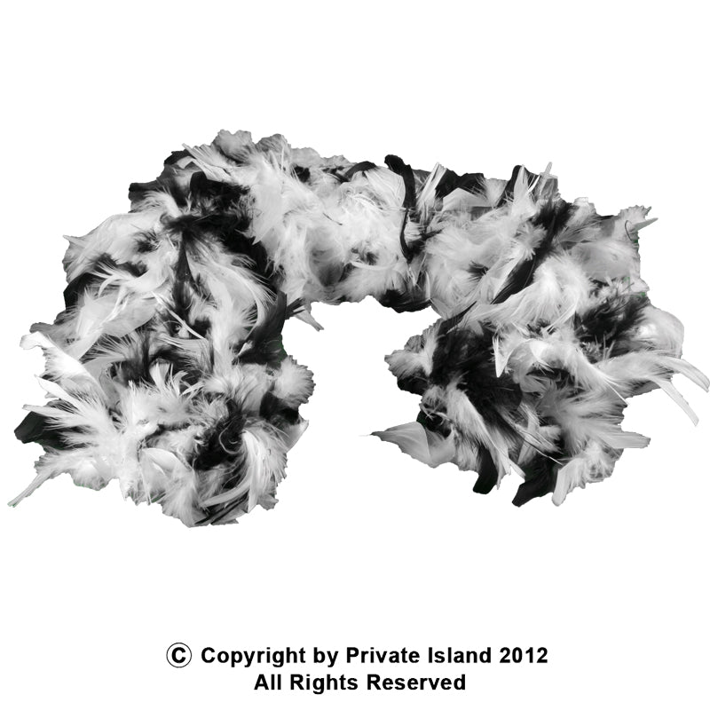 Black and White Feather Boa 2027