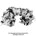 Black and White Feather Boa 2027
