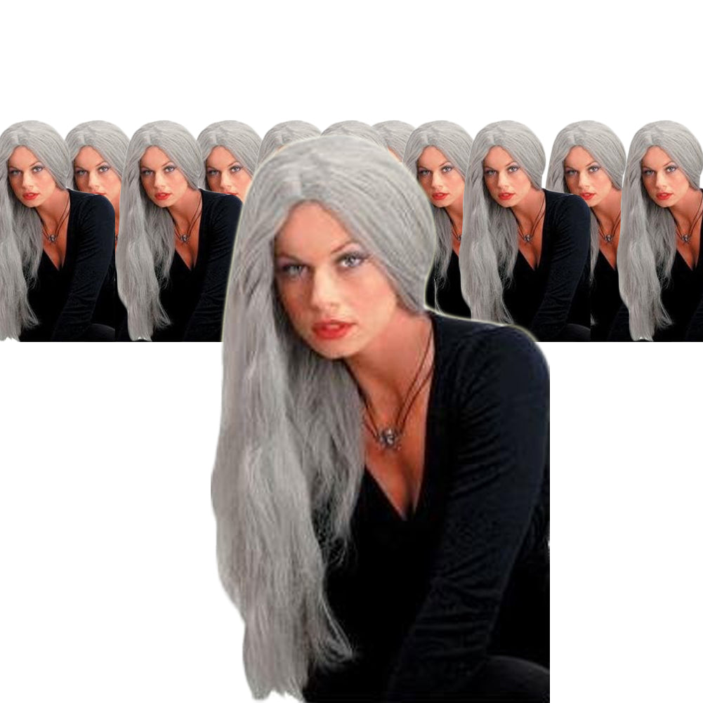 Wicked Straight Wig Grey 24 Inch 12PK  6048D