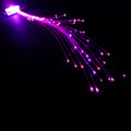 Purple Starlight Fiber Optic Hair Extensions 6163