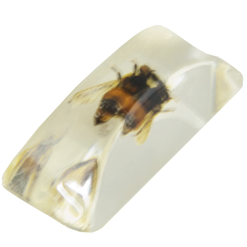 Bug Ice Cube 9016