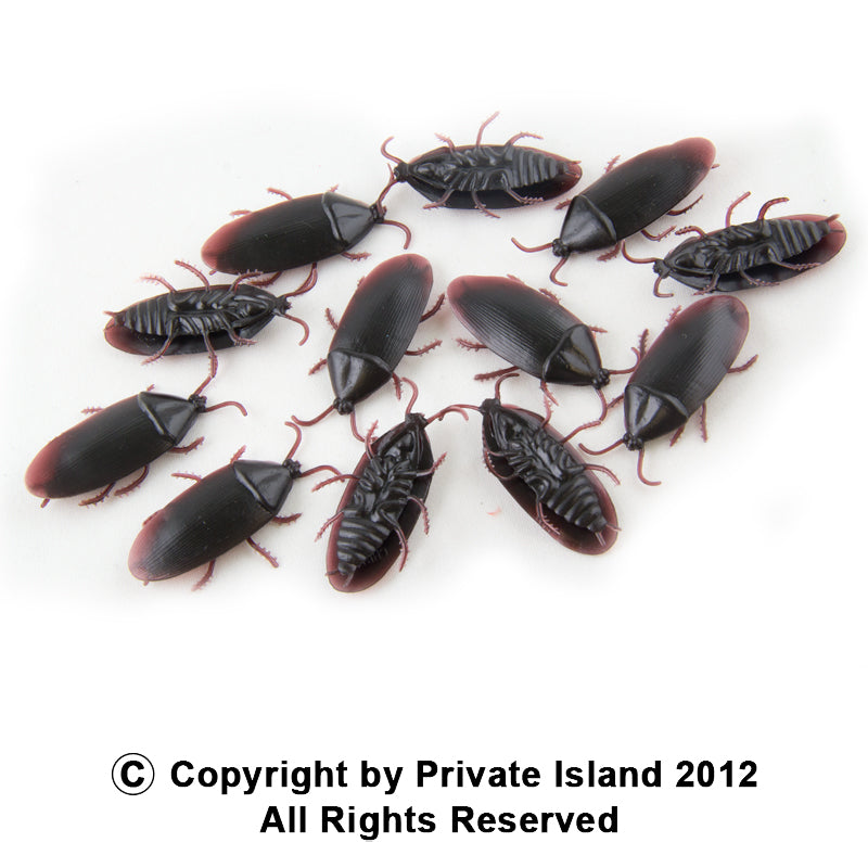 Fake Roaches 12 PACK 9026