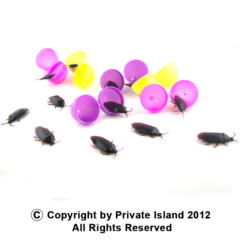 Fake Roaches 12 PACK 9026