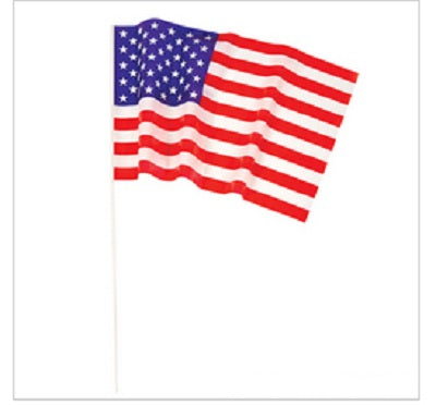 USA Pride Flags 12" 9074