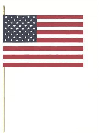 USA Pride Flags 12" 9074