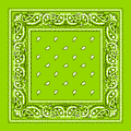 Lime Green Bandana 22" Square Standard 100% Cotton 12 PACK 1928D