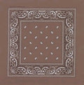 Brown Paisley Bandanna 22" Square Standard 100% Cotton 12 PACK 1924DZ