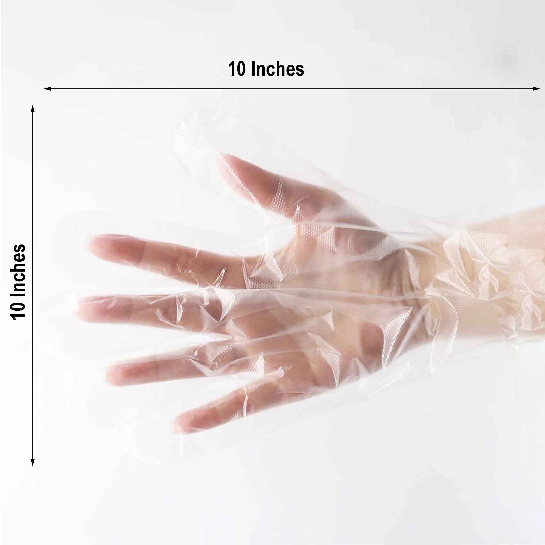Pack of 500 | Clear Plastic Disposable Gloves | Powder Free Multipurpose Plastic Gloves, Food Service Gloves