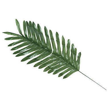 Palm Leaves Luau Tropical Party Decorations LARGE 12 PACK 3904D