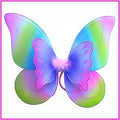 Rainbow Child Butterfly Wings 4634