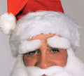 Santa Claus Eyebrows Deluxe 9220