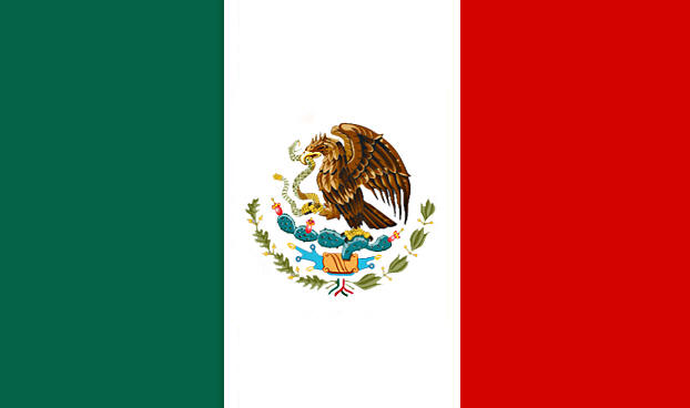 Mexican Flags 12 PACK  3' X 5' FT 9094