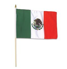 Mexican Flag 12in 1893