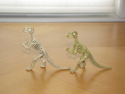 12 PACK Large Dinosaur Skeleton Fossils 5-6" 9128