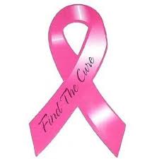 Breast Cancer Car Magnets Bulk Wholesale 12 PACK 10001