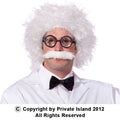 Einstein Wig and Mustache 6021