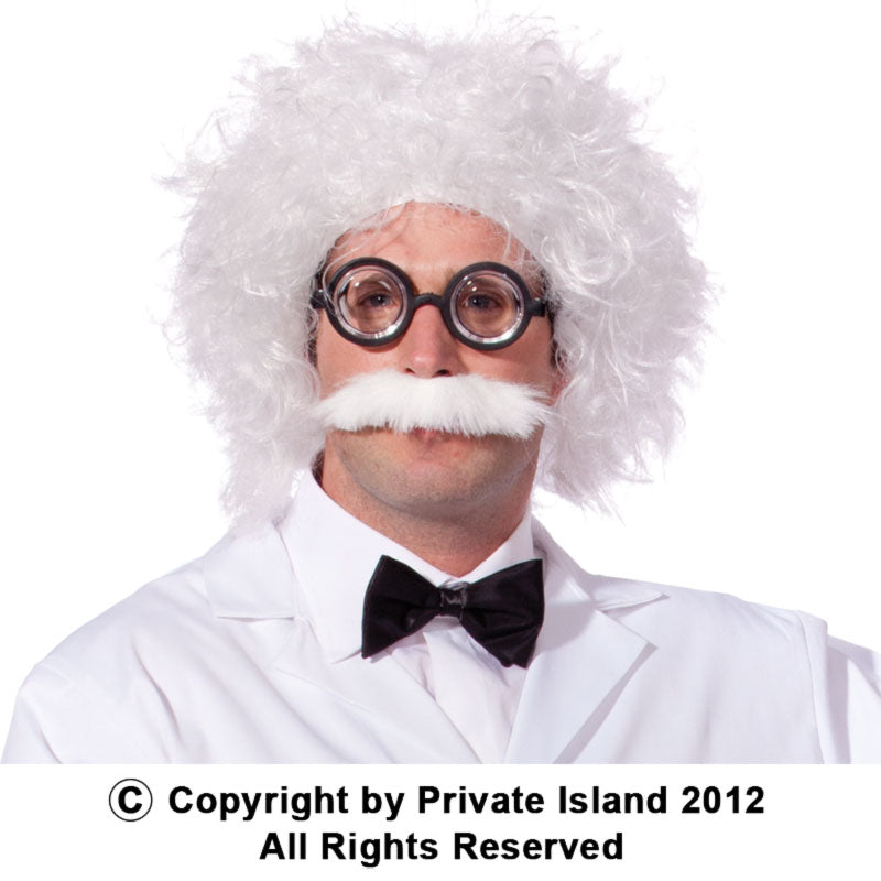 Einstein Wig and Mustache 6021