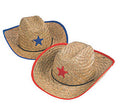 Cowgirl Hat Wholesale | Cowgirl Hat Bulk | Kids Size Cowboy/Cowgirl Hats 12 PACK Felt - Child  1482