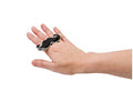 Mustache Rings Wholesale | Double Finger 12PK 6608