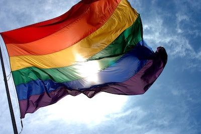 Rainbow Stripe 3x5 Gay Pride Flag 3108