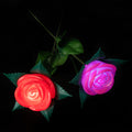 LED Roses Wholesale | LED Roses Bulk |  12 PACK 1826